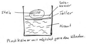 Sauerkraut selber machen, Skizze