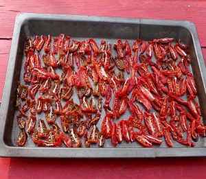 Tomaten trocknen auf Blech