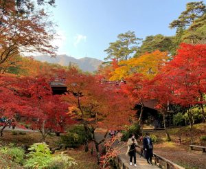 Japanischer Tempelpark