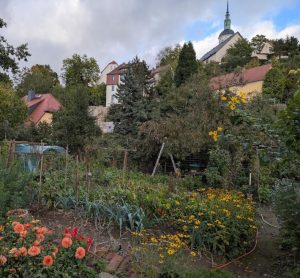 Unser Gemüsegarten in der wärmenden Herbstsonne