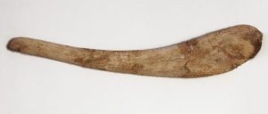 Bovine Rib Dagger Natufia Culture