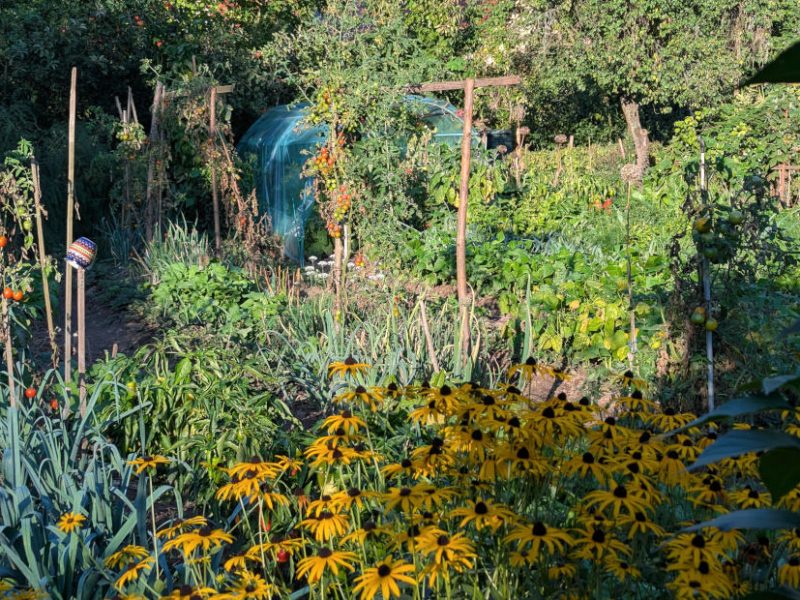 Selbstversorgergarten, Gemüsegarten