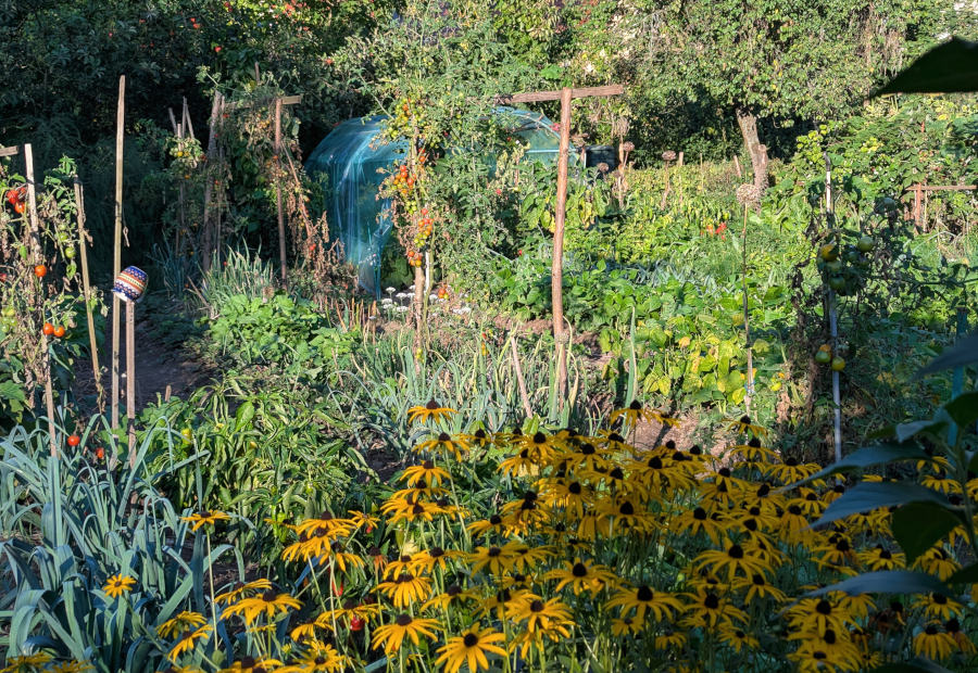 Selbstversorgergarten, Gemüsegarten