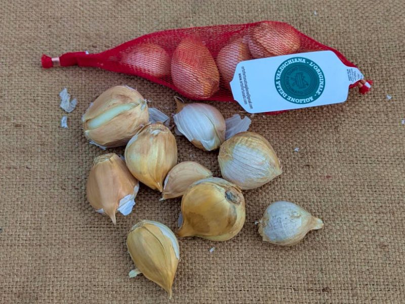 Aglione-Knoblauch in Verpackung