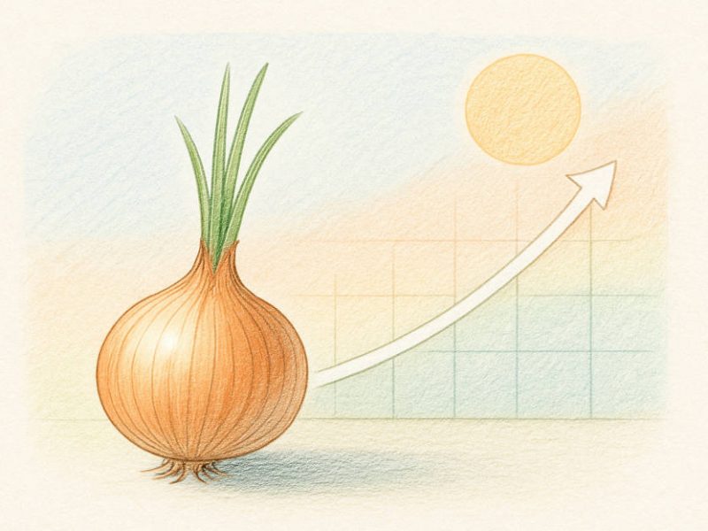 Symbolbild mit Zwiebel, Kalender und Sonne