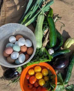 Geerentete Sommergemüse und Hühnereier