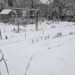 200 Quadratmeter Nutzgarten im Winter bei Schnee