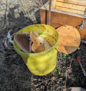 Beute der Honigbienen reinigen