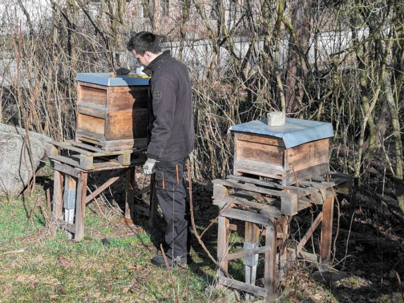 Hobbyimker in der warmen Sonne an den Beuten
