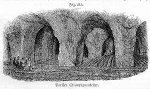 Champigninkultur unter Paris