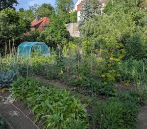 Selbstversorger Garten 150 Quadratmeter