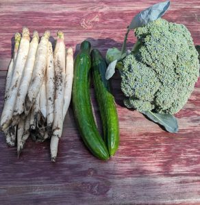 Spargel, Salatgurken und ein Brokkoli