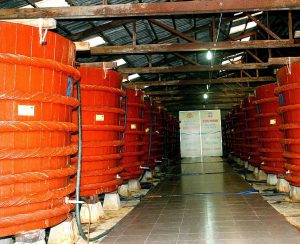 Große zylindrische Holzfässer unter dem Blechdach