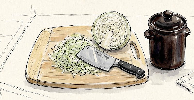 Sauerkraut selber machen, Symbolbild