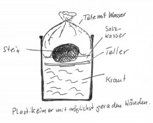 Sauerkraut im Eimer herstellen Skizze