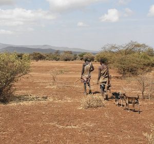 Hadazbe Wildbeuter in der afrikanischen Steppe