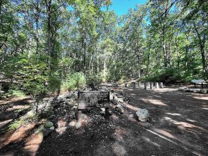 Thoreau's Platz der Hütte im Wald heute