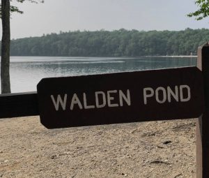 Der Walden-Pond heute
