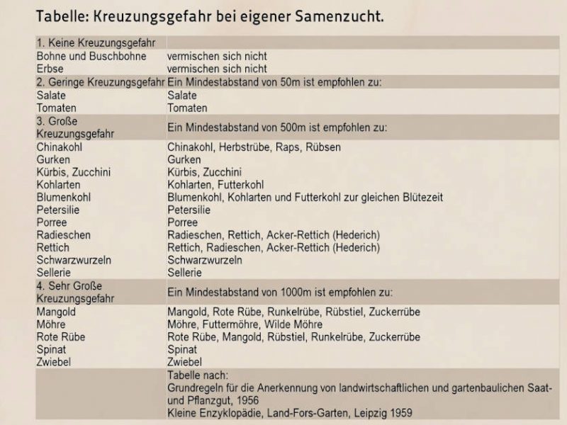 Samenzucht-Tabelle Beitragsbild