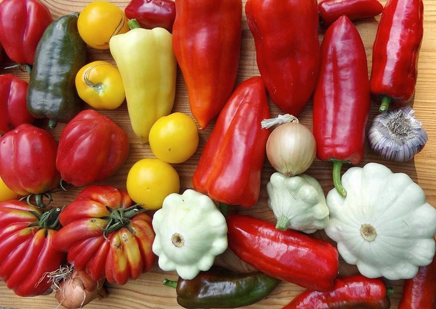 Paprika, Tomaten, Zucchini, Zwiebel