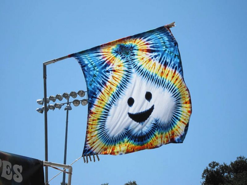Garlic Tie Dye (5990297555)