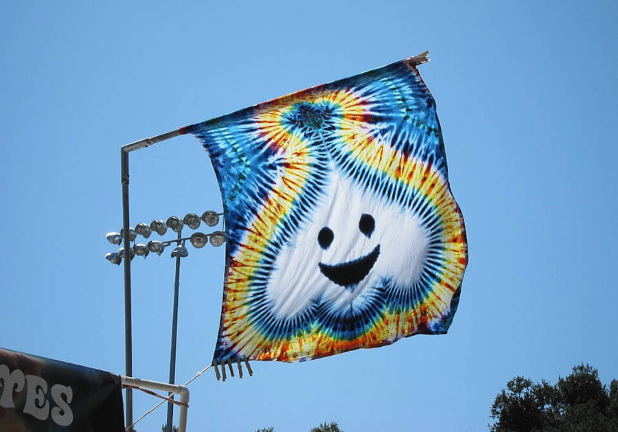 Garlic Tie Dye (5990297555)