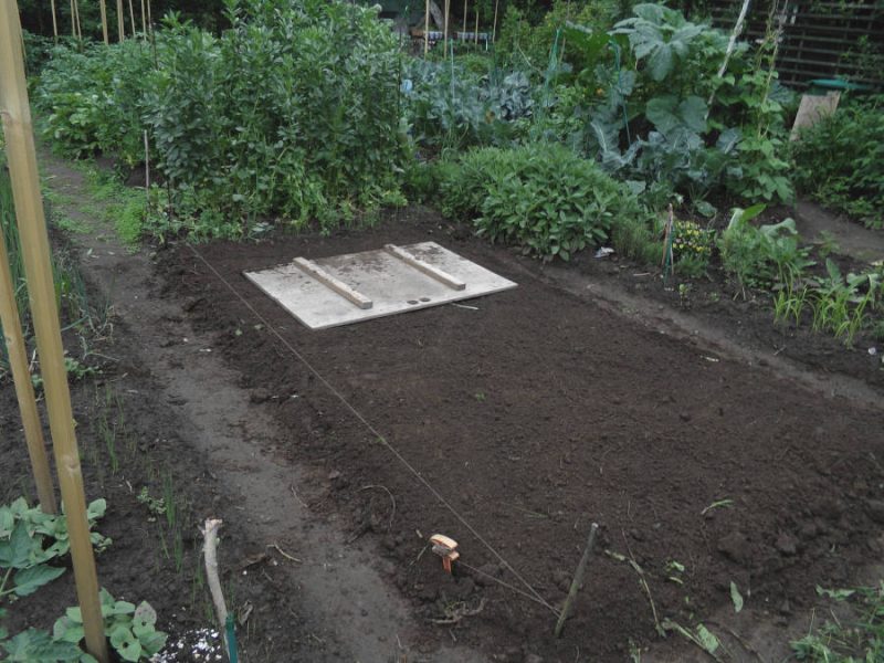 Gartenbeet mit Trittbrett