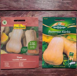 Curcubita moschata tina und erley butternut