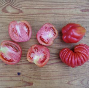 Zahnrad-Tomaten aufgeschnitten.