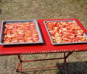 2 Bleche mit geschnittenen Tomaten in der Augustsonne
