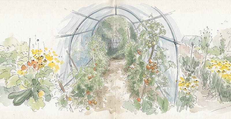 Tomaten-Folientunnel