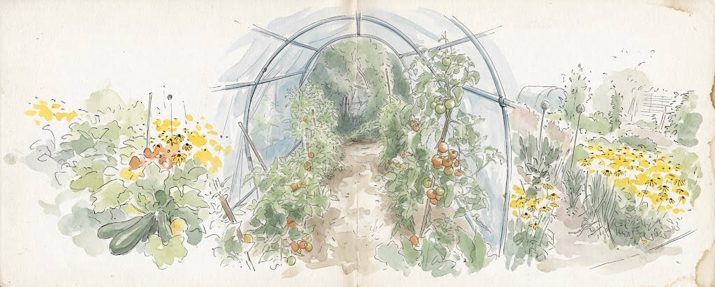 Tomaten-Folientunnel
